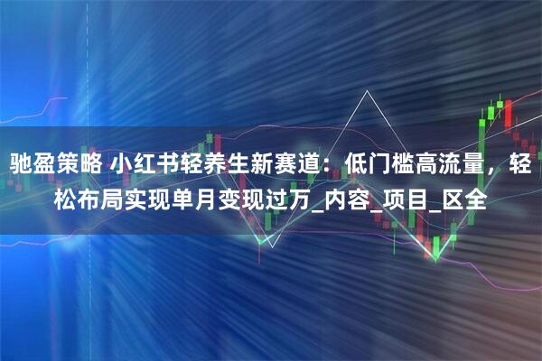 驰盈策略 小红书轻养生新赛道：低门槛高流量，轻松布局实现单月变现过万_内容_项目_区全