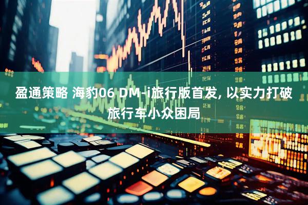 盈通策略 海豹06 DM-i旅行版首发, 以实力打破旅行车小众困局
