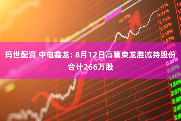 玛世配资 中电鑫龙: 8月12日高管束龙胜减持股份合计266万股