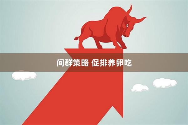间群策略 促排养卵吃