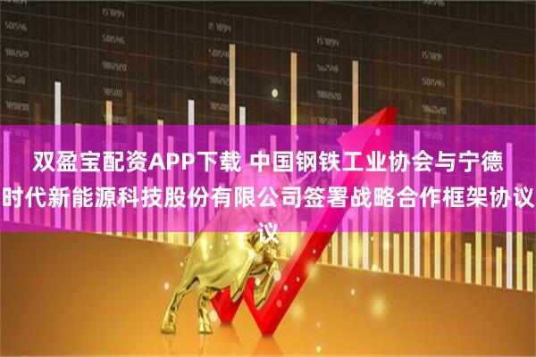 双盈宝配资APP下载 中国钢铁工业协会与宁德时代新能源科技股份有限公司签署战略合作框架协议